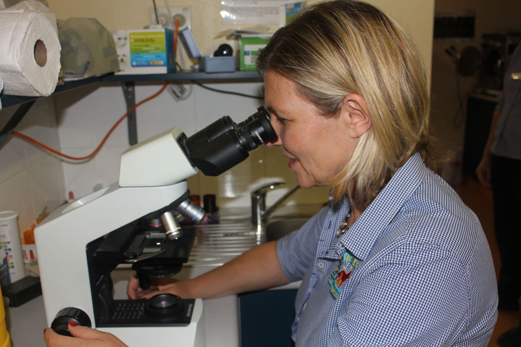 Skin and Ear Assessments - Pittwater Animal Hospital