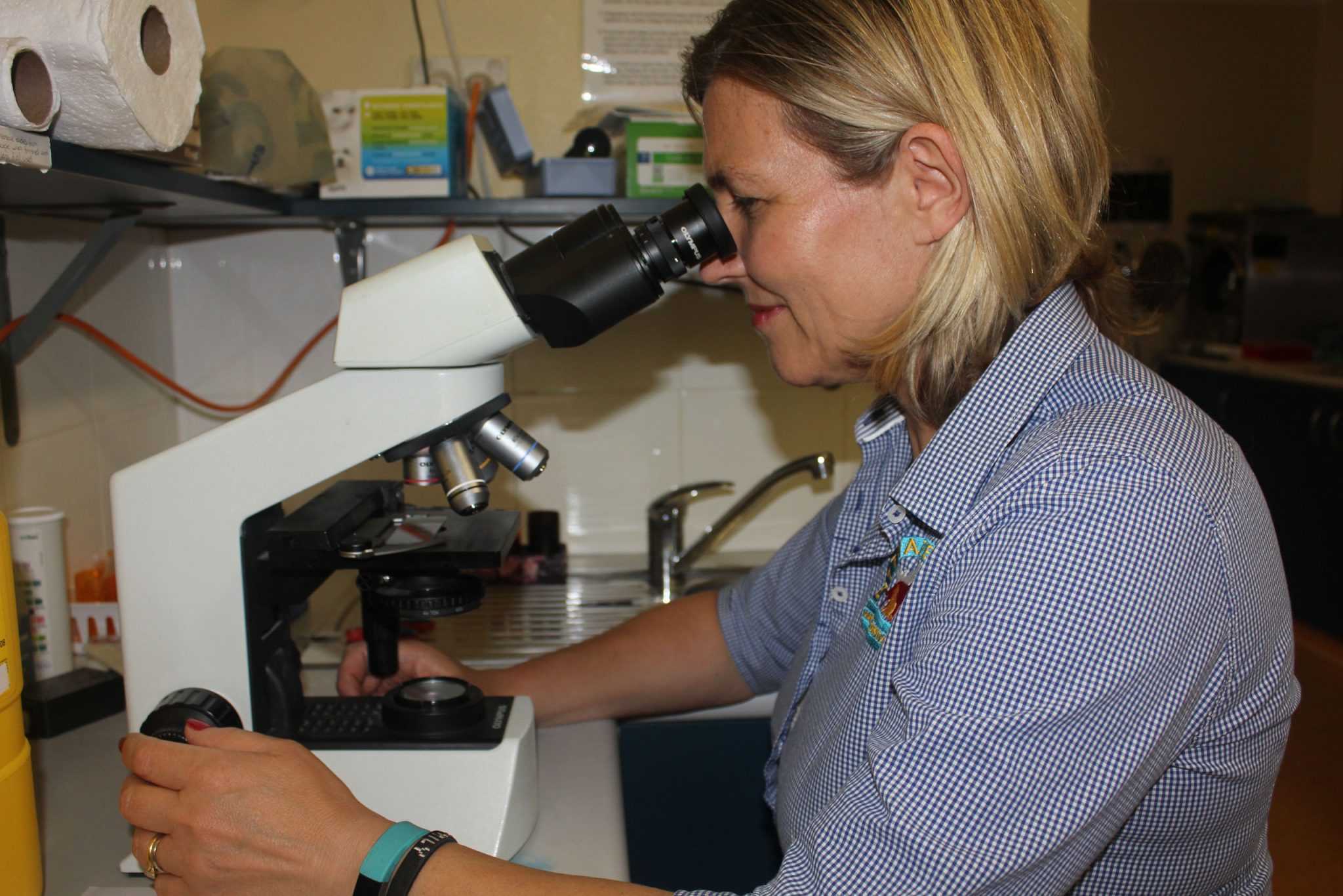 Pathology - Pittwater Animal Hospital