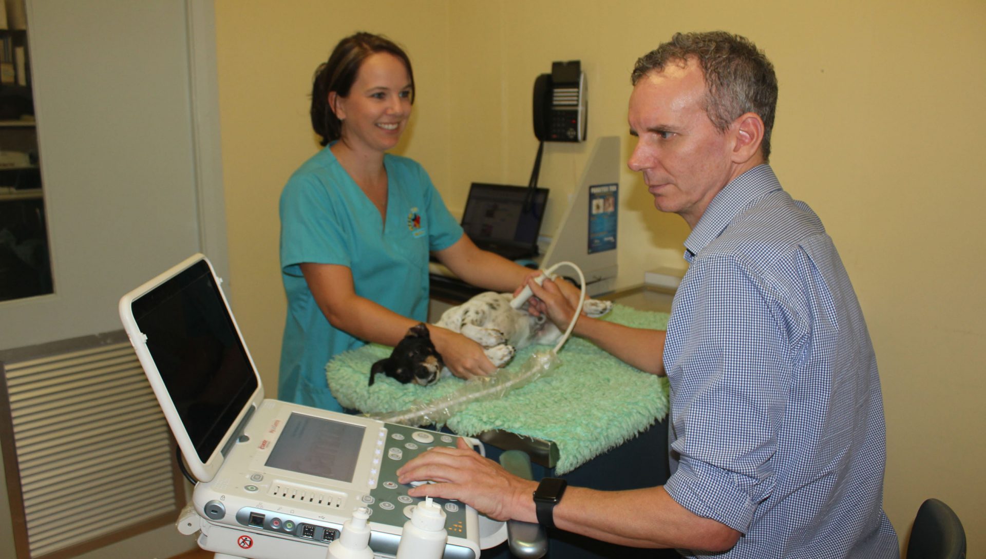 FAQs about Pittwater Animal Hospital - Pittwater Animal Hospital