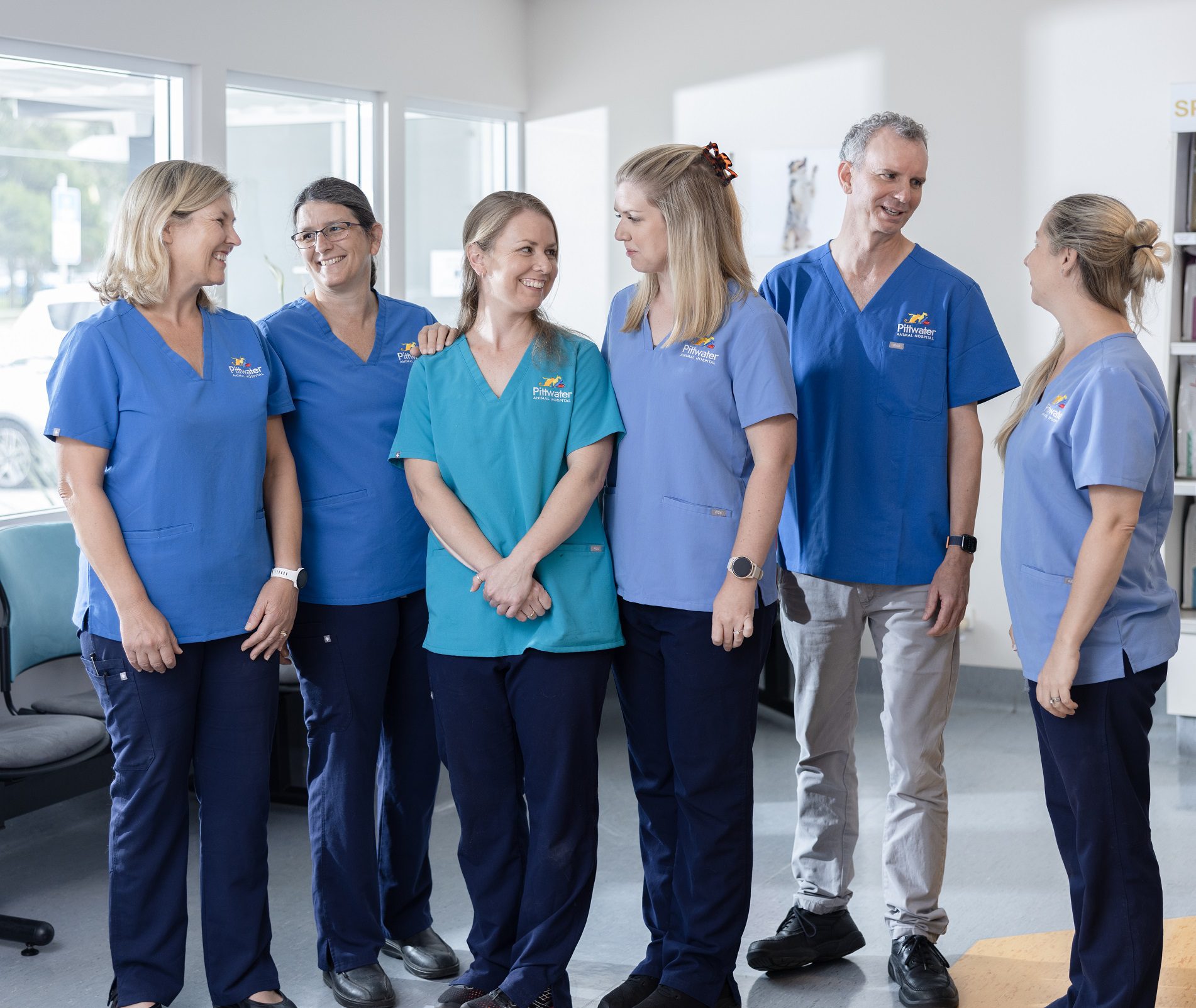 Advanced Vet Clinic & Hospital | Veterinary Services Northern Beaches | PAH