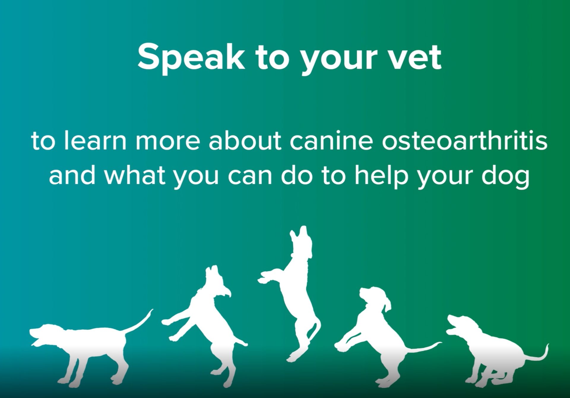 Fabulous treatment for arthritis pain in cats and dogs Pittwater