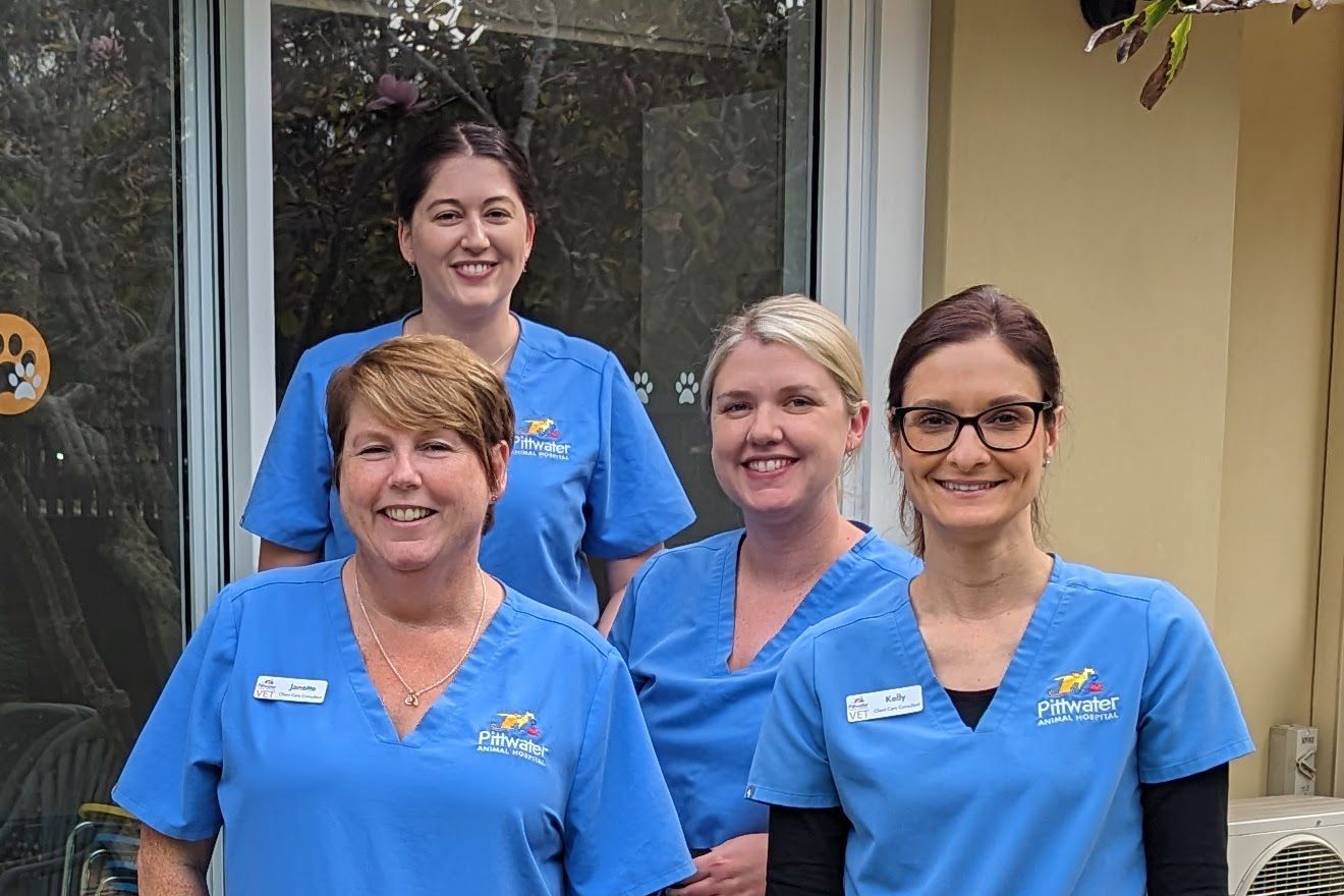 Customer Care - Pittwater Animal Hospital